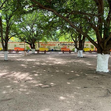 Hotel Tamarindos Zihuatanejo Dış mekan fotoğraf