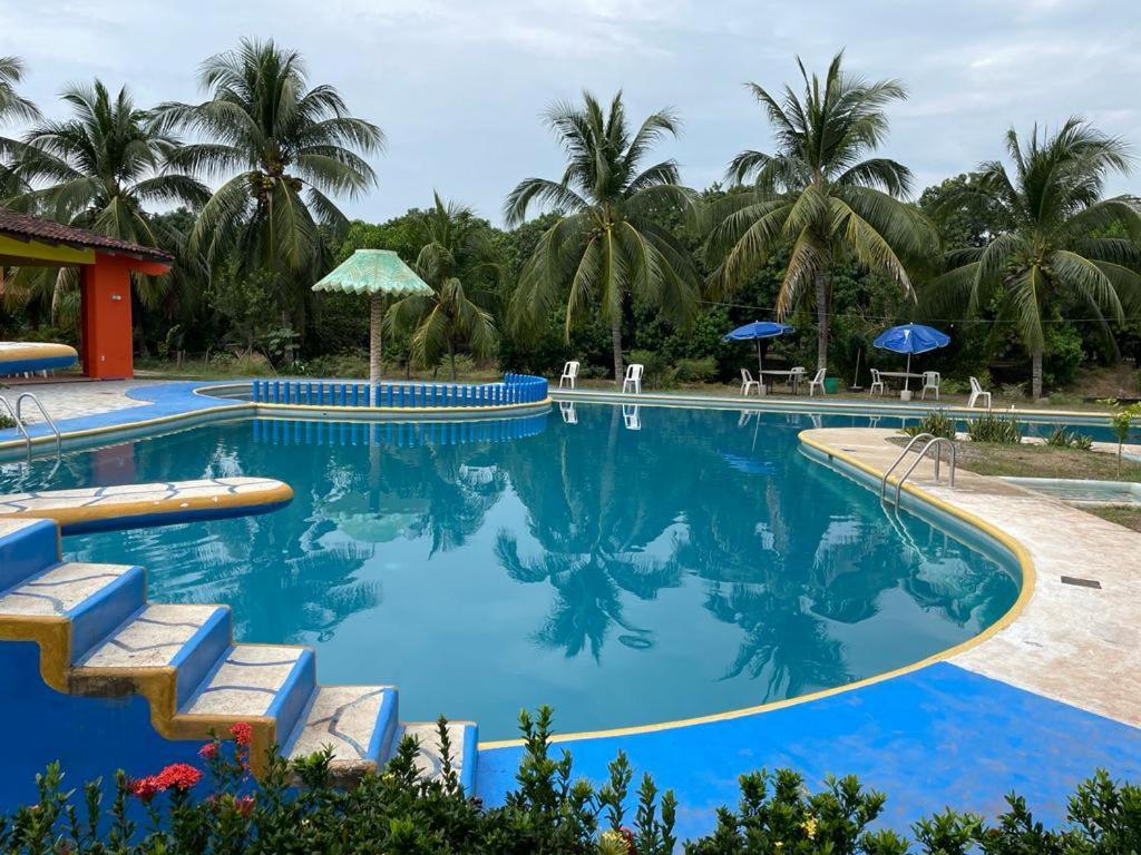 Hotel Tamarindos Zihuatanejo Dış mekan fotoğraf