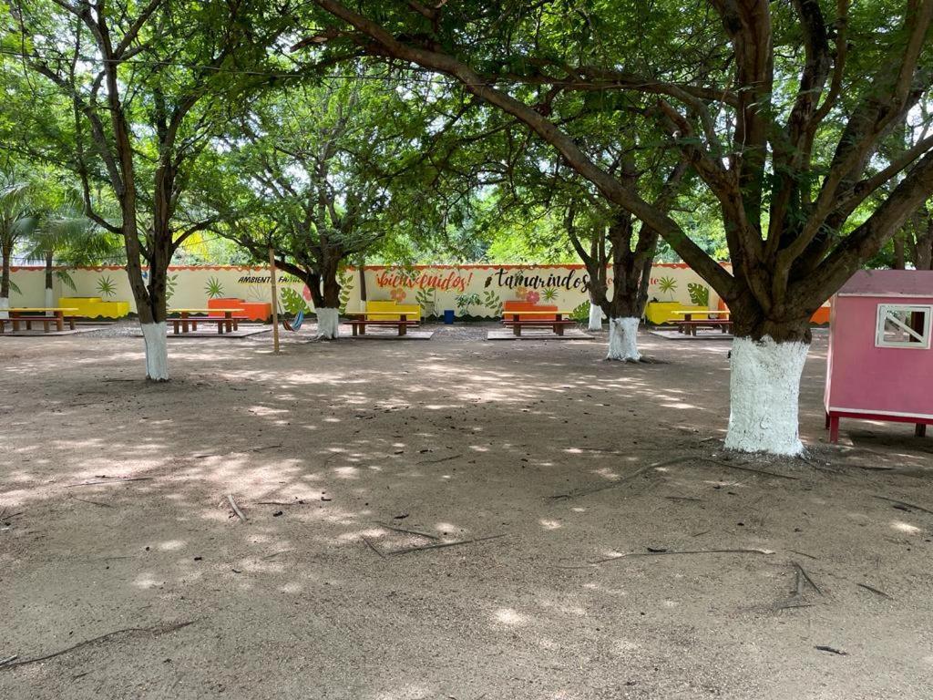 Hotel Tamarindos Zihuatanejo Dış mekan fotoğraf